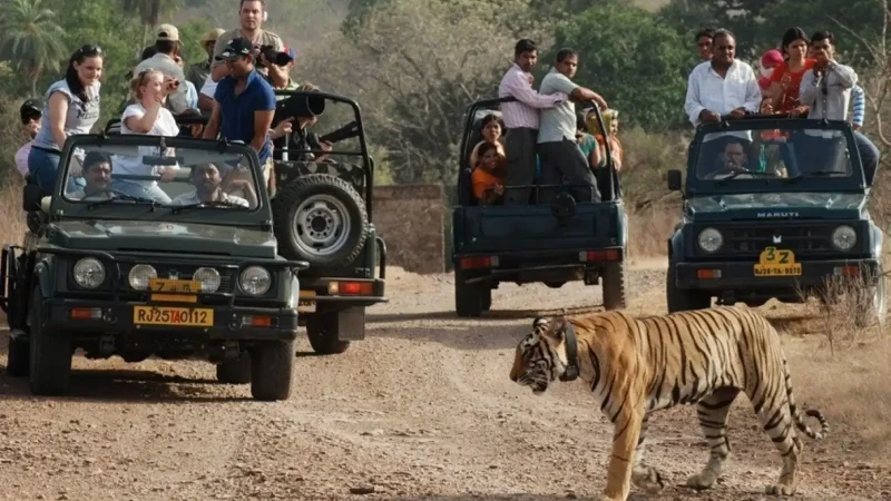 Golden Triangle Tour with Ranthambore 4N5D