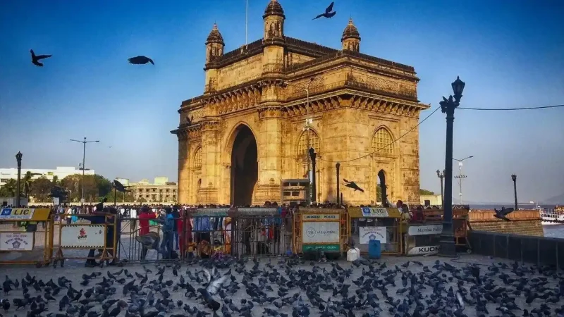  Discover the Majestic Golden Triangle