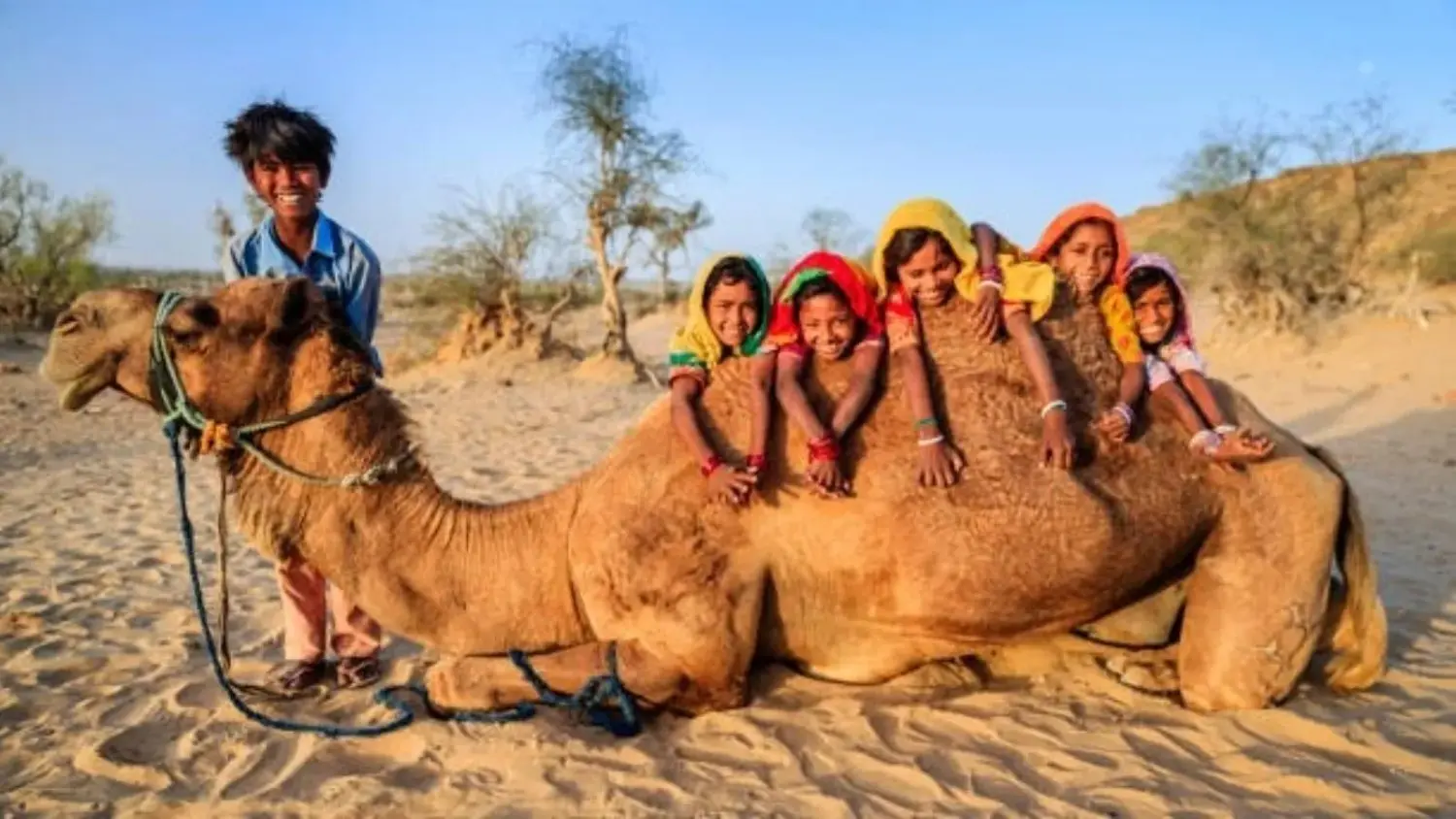 Rajasthan City Tour 3N4D